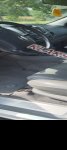 продам Toyota Hilux Pick Up в пмр  фото 1