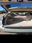 продам Lexus RX 400h в пмр  фото 3